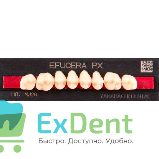 Гарнитур боковых зубов  Efucera PX - верхние, цвет A1 фасон 32, композитные трехслойные (8шт) - фото 39914