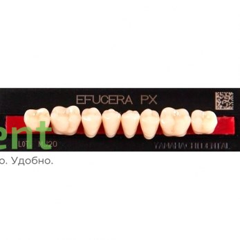 Гарнитур боковых зубов  Efucera PX - нижние, цвет A1 фасон 32, композитные трехслойные (8шт) - фото 39922