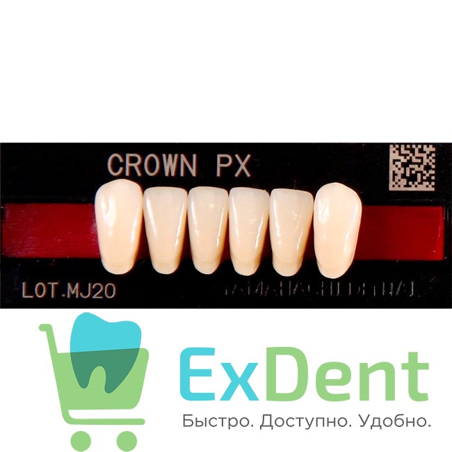 Гарнитур фронтальных зубов  Crown PX - нижние, цвет A2 фасон N42, композитные трехслойные (6шт) - фото 39950