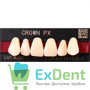 {{photo.Alt || photo.Description || 'Гарнитур фронтальных зубов  Crown PX - верхние, цвет A3,5 фасон S51S, композитные трехслойные (6шт)'}}