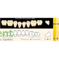 Гарнитур боковых зубов  Efucera PX - нижние, цвет A3 фасон 32, композитные трехслойные (8шт) - фото 39927
