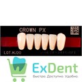 Гарнитур фронтальных зубов  Crown PX - нижние, цвет A1 фасон N31, композитные трехслойные (6шт) - фото 39941