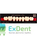 Гарнитур боковых зубов  Efucera PX - нижние, цвет A3 фасон 34, композитные трехслойные (8шт) - фото 39990